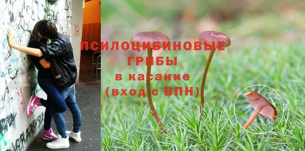 прущая мука Алексеевка