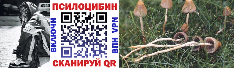 Псилоцибиновые грибы ЛСД  Калач-на-Дону 